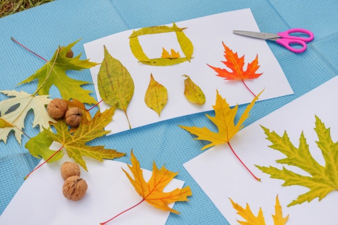 cosa fare con le foglie d'autunno, foglie autunno idee